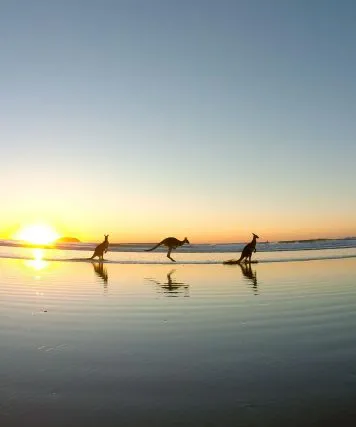 North Coast